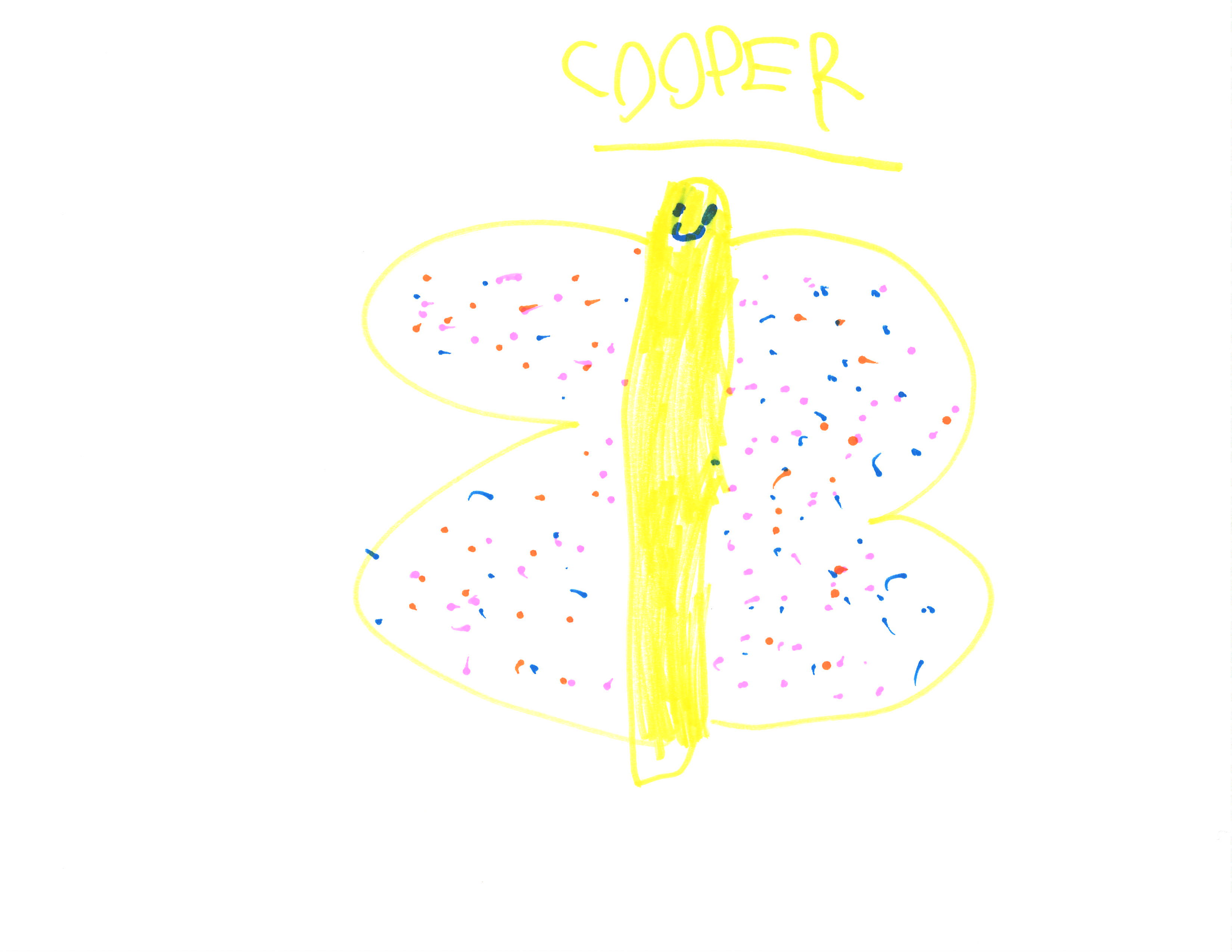 Butterfly