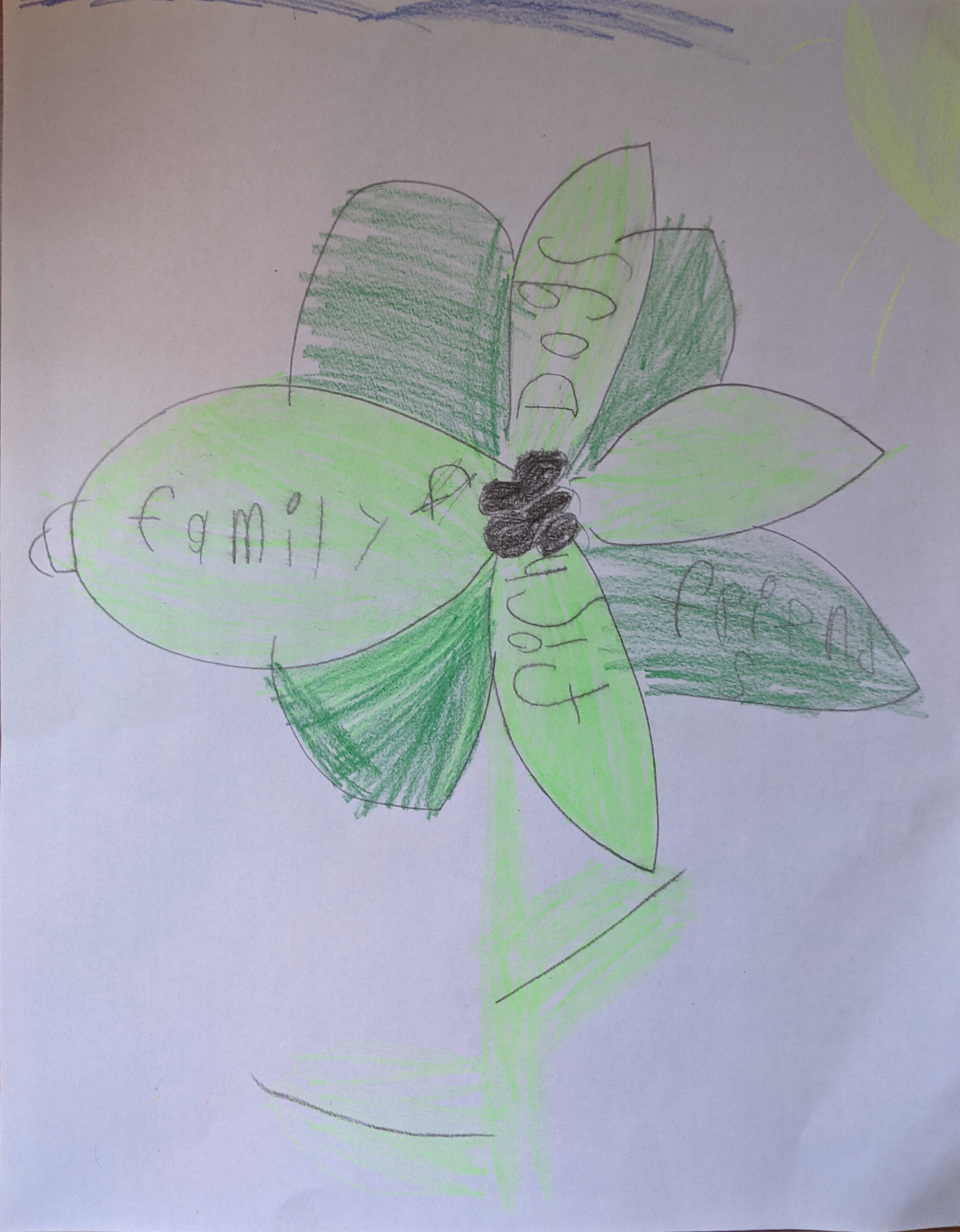 Care Flower